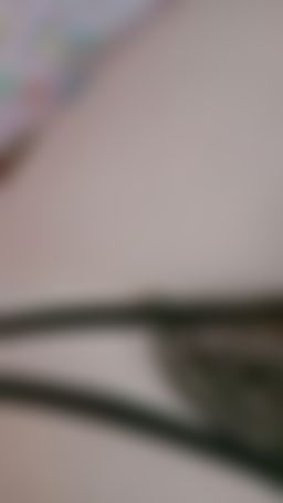 floraof : 是日的內褲