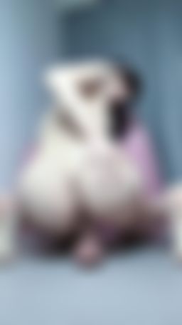 royababy : 露臉全裸清晰雙穴抽插到肉棒上都是白汁了啦😱😱😱完整版影片😘私訊「想舔白汁」

🌟最新私藏百貨哺乳室20顆紫黑鑽收藏25分鐘完整版❤️加送2部特別版

⬇️⬇️還沒收藏的趕快收藏起來

私訊2次「高潮淫水」領6分鐘炮機大噴水
私訊2句「芽芽搖咧」拿5分鐘女上色話私藏
私訊2句「520芽芽」領5分20秒滿滿色話
 一個飛吻禮物可以換3部私藏片呦😘😘😘
 一人限領一次

@royababy 👈按下追蹤
 截圖追蹤的畫面私訊「我要追你」❤️
 領小女友露臉私藏片‼️

#露臉 #大奶 #巨乳 #屁 #雙穴 #臀 #腿