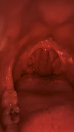 pollyunholy : How far you go in my throat