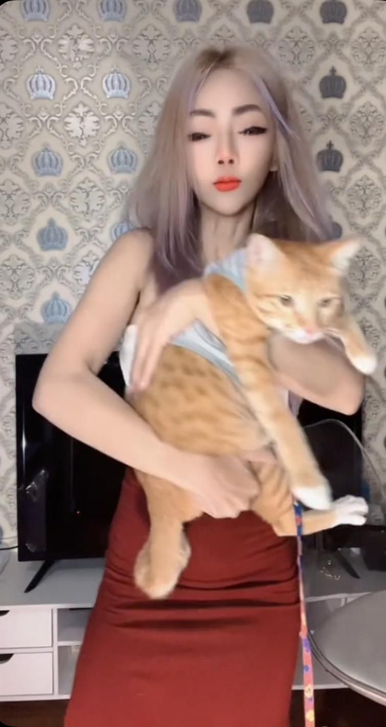 liinda : see my cat  😽😸