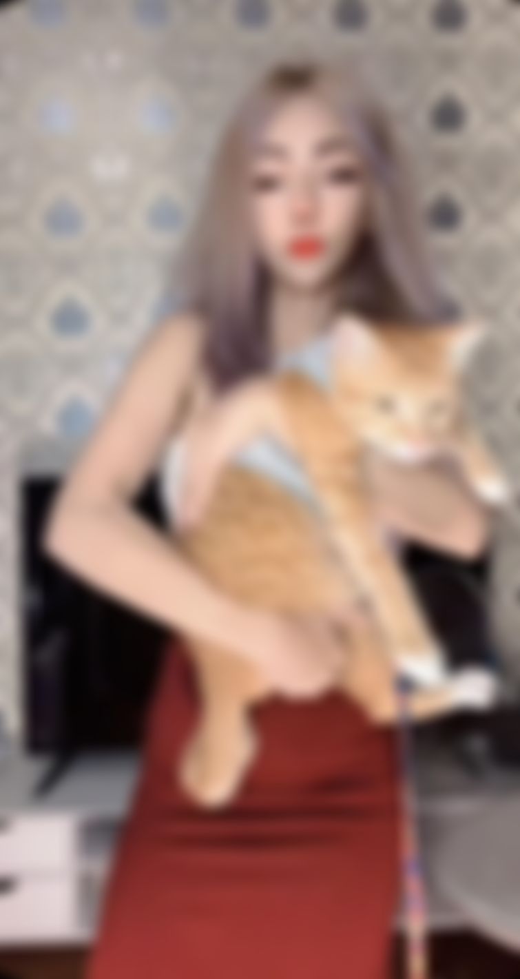 liinda : see my cat  😽😸
