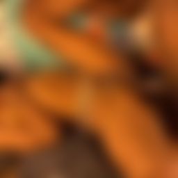 sexyprecy : real sex