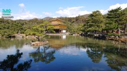 pompom_jp : 少し前に京都に行きました🐢Babe