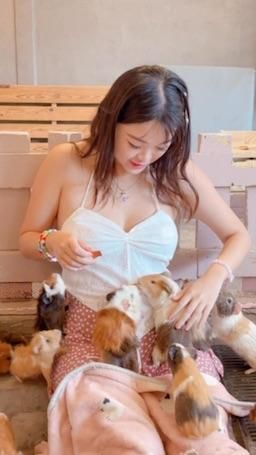 macychanhk : 很可愛 要一起玩嗎