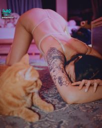 chiao54222 : 貓式~喵(。・ω・。)💕