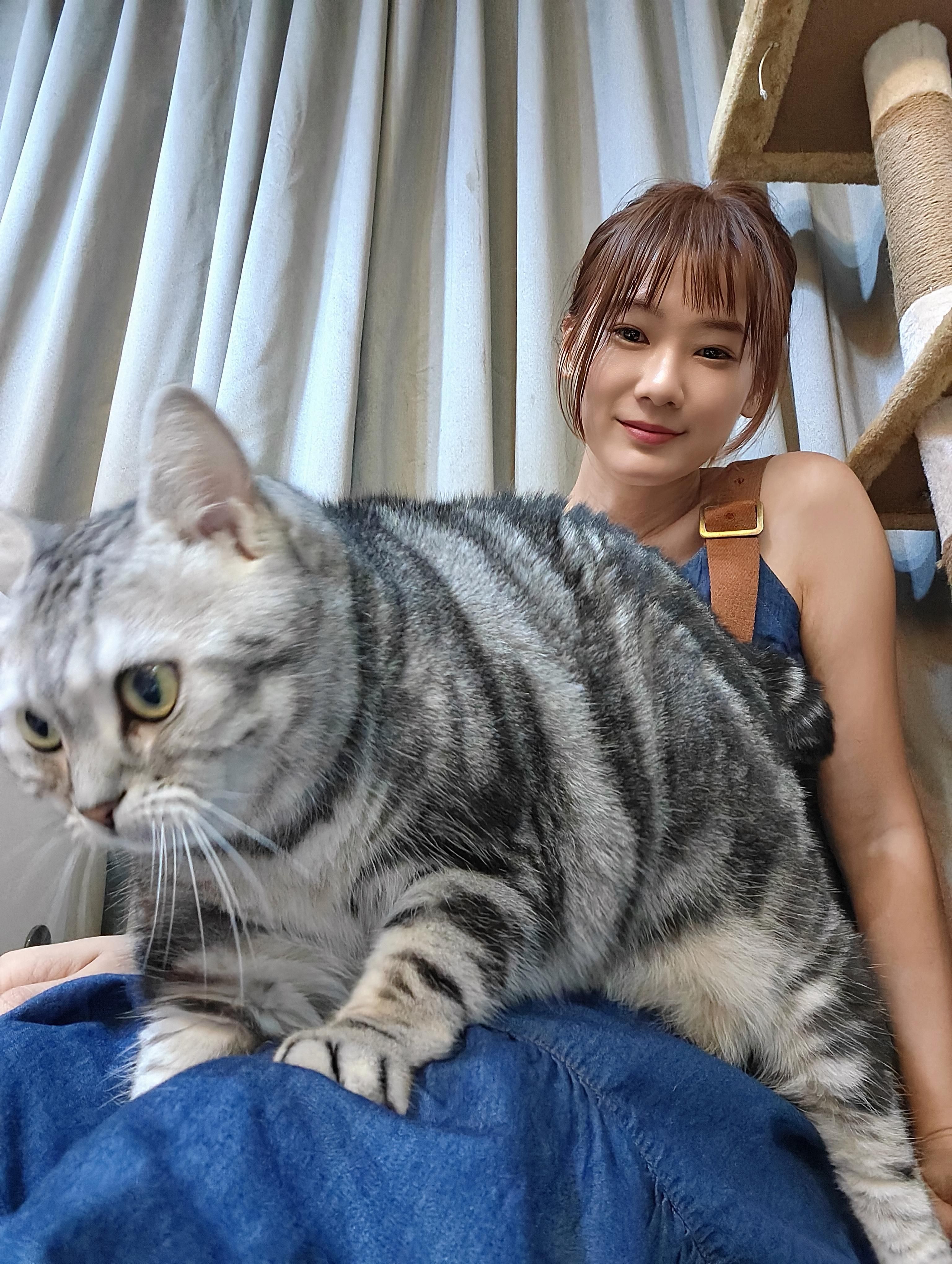 nagoyaakiko : 有沒有人也是貓派
