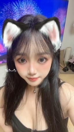 bb5331 : 喵喵喵🐱