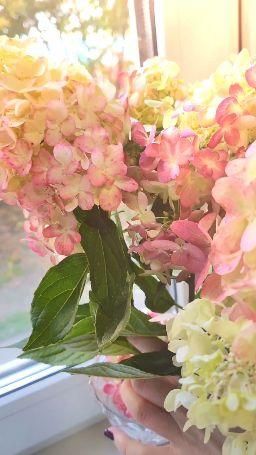 julielove : something on the beautiful