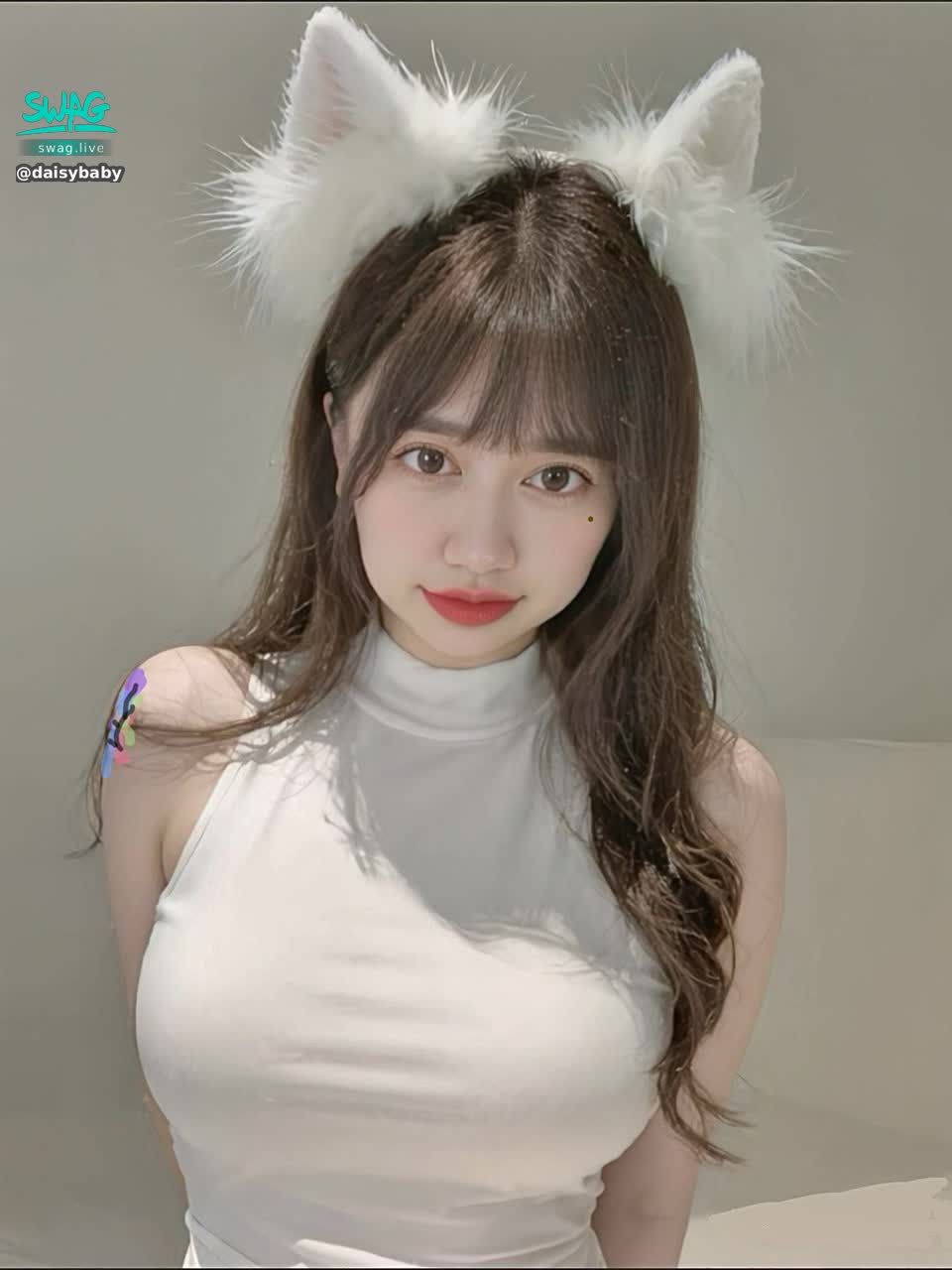 daisybaby : 🤍喵