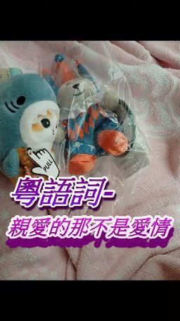 floraof : 星期三聽歌時間Babe