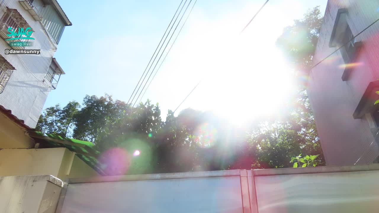 dawnsunnywo : 今年夏天拍的照片╰(*´︶`*)╯#生活