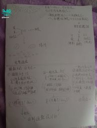 floraof : <<太傻天書>>世界觀筆記