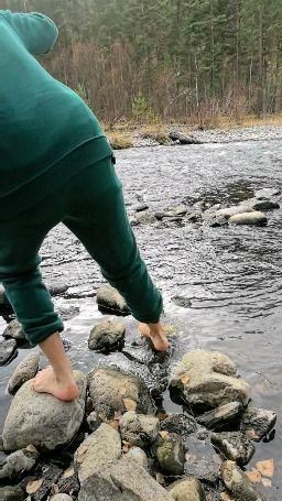 wildsun : I dipped my feet in the river