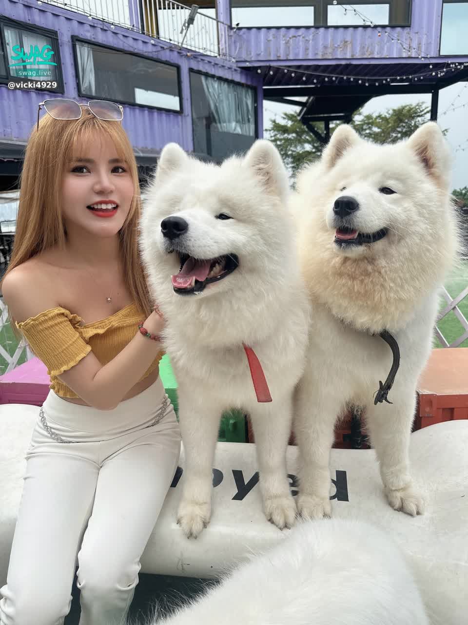 vicki4929 : 今晚🔔11/4（二）20點 雙人快閃播～❤️（如果20點還沒開，就是在等候位唷）