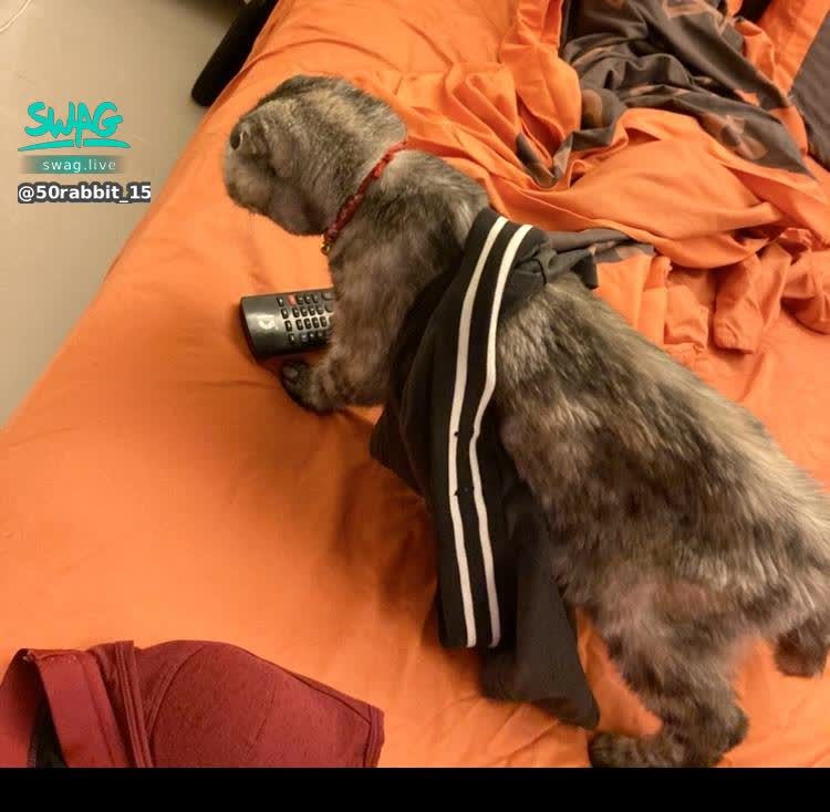 50rabbit_150 : 生理期來的關係嗎|風聲吹著吹著,好想你。
那年冬天,我一個人打拼,一個人睡,一個人吃食,一個人面對,我只有你。
給不了你最好的治療,可是我想給你好的生活,我現在好點了,伱在哪
-
#我很想你是不是因為你很愛我
#原來那年只是去年#嗎 ..