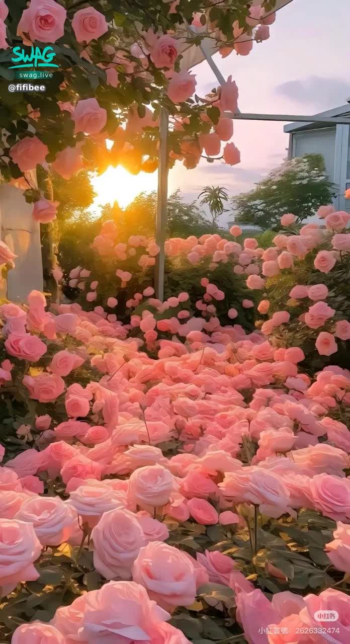 fifibee : 盲目自信比清醒的自卑好一些
(圖文不符🤣)
好喜歡這片花海
把這個畫面設為手機桌布
每天看著心情都好了❤️