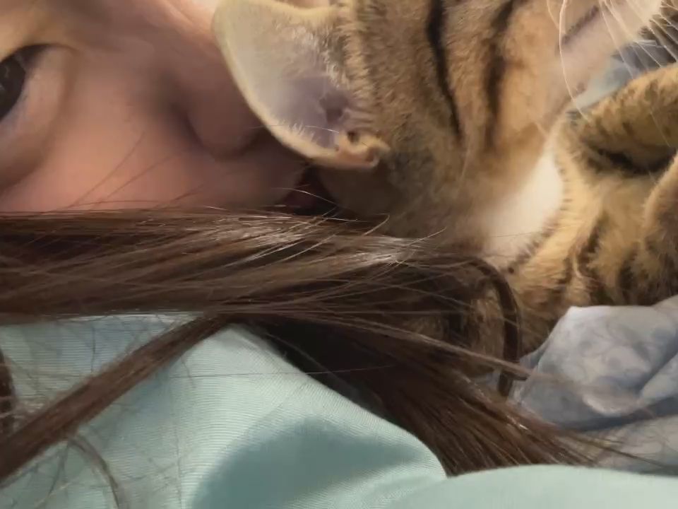 nevaeh1225 : 心情不好只有吸貓可以讓自己緩和一下❤️有人要出來一起約會吃晚餐嗎? #約會 #日常 #生活 #sexy #性感 #露臉