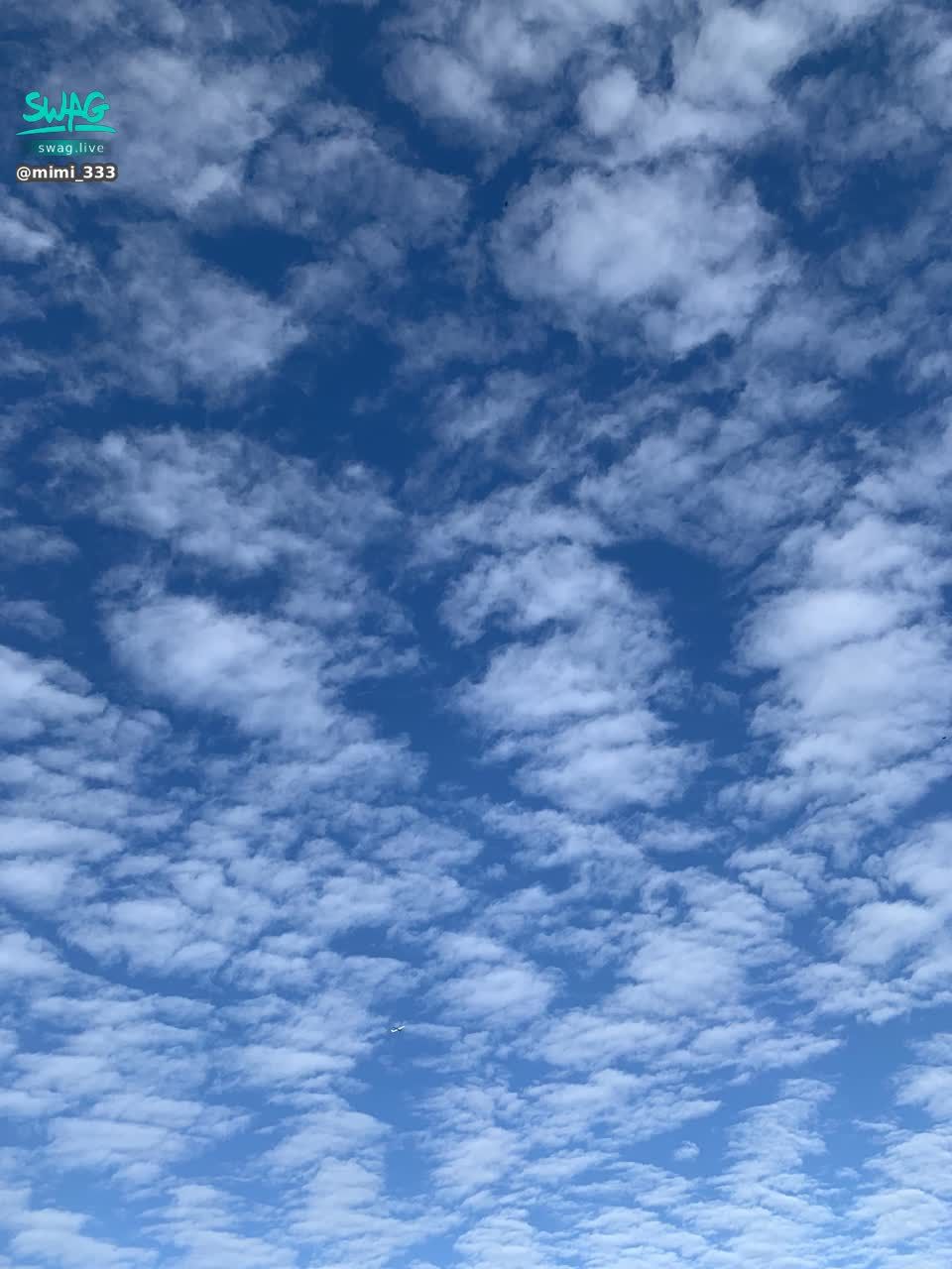 mimi_333 : 早上八點十六分!!!
出來打球啊
🫠