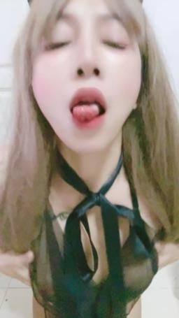 youyouzin : Cute little cat😛😛💋