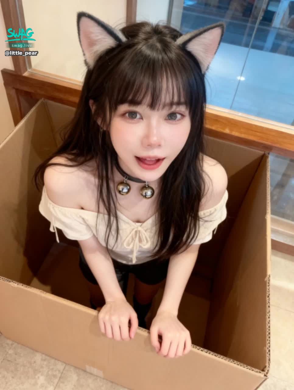 little_pear : 🐱🐱🐱我們一起學貓叫