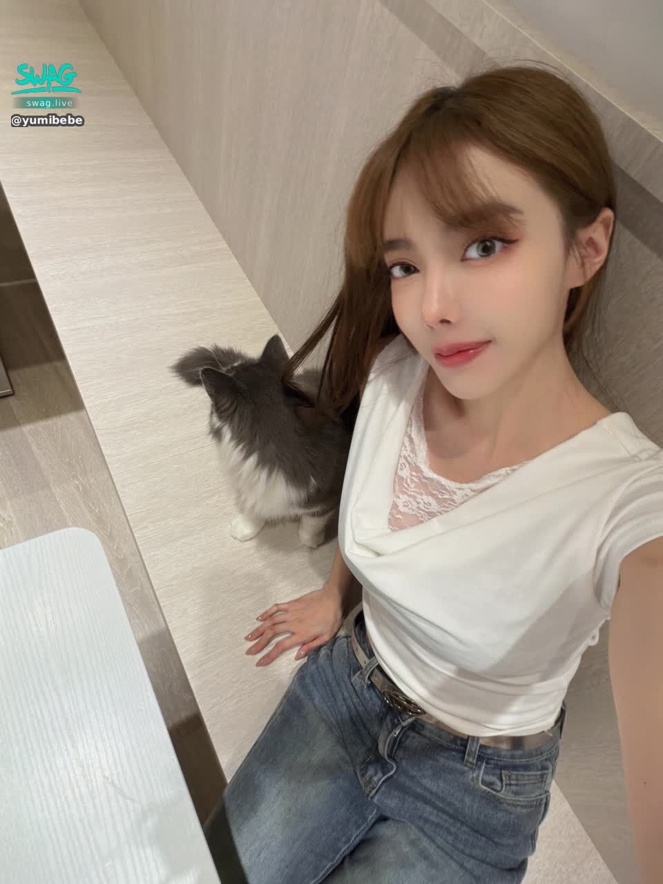 yumibebe : 今晚11/18 22：00 直播
來我家看貓嗎？喵喵🐱