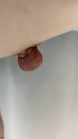 wasteful : 奶頭特寫