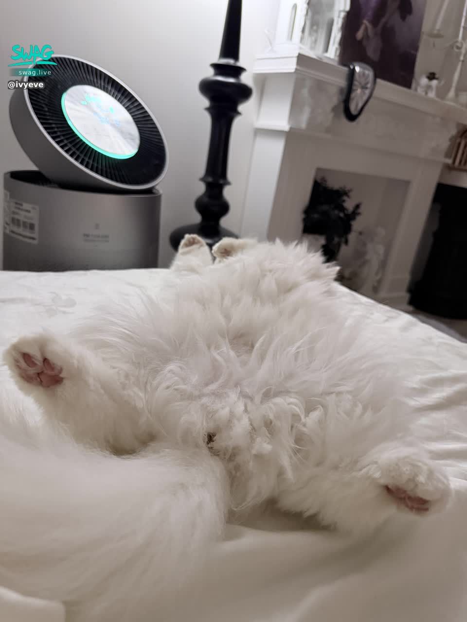 ivyeve : 禮拜三晚上22:00直播唷大家記得來陪我 月底了☹️