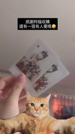 nyaa0410_official : 直播放在奶上加持半小時的
想要購買的請私訊我💓