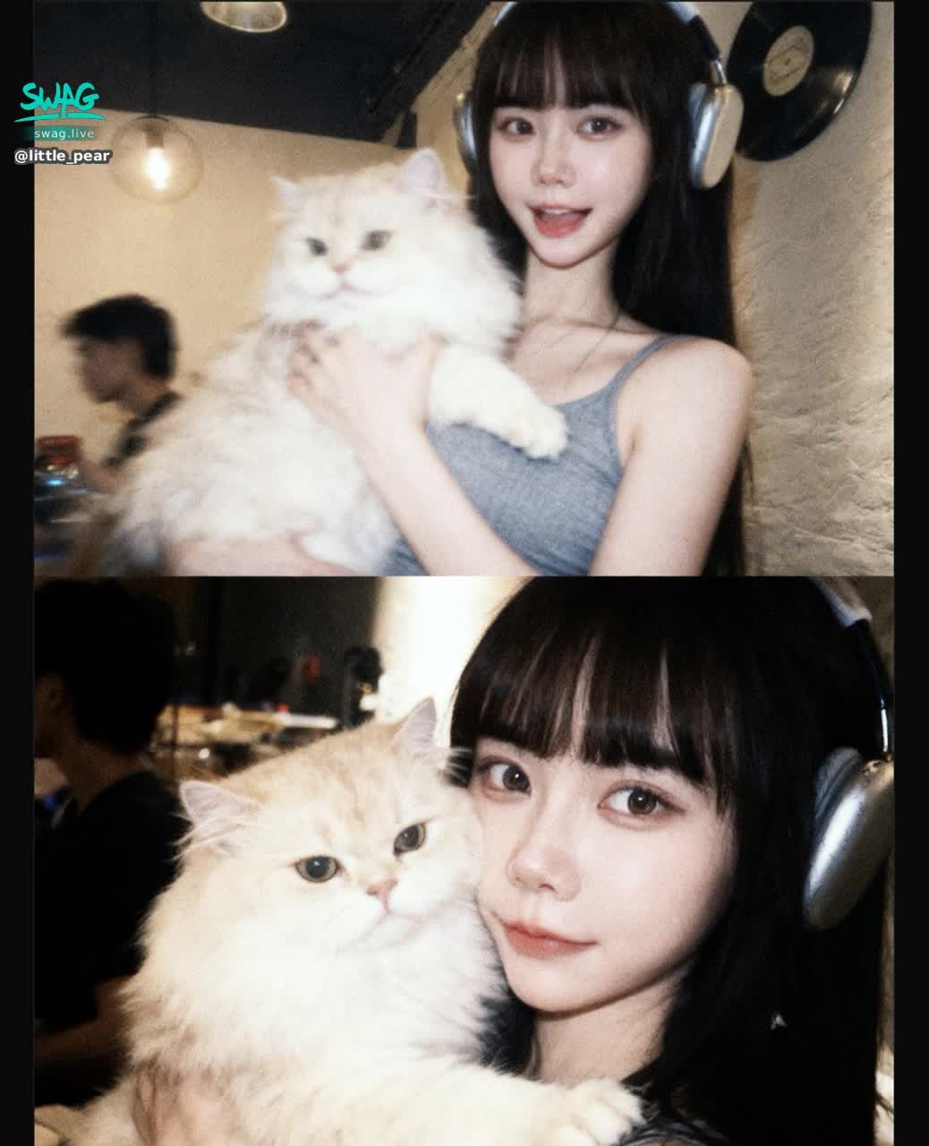 little_pear : 如果你喜歡貓 那就是你第二喜歡的
因為第一喜歡的 應該是我才對