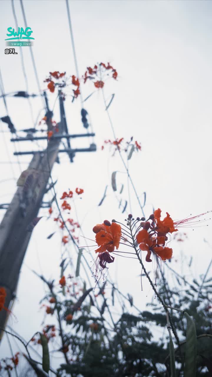 7i_ : 對不起🙏讓你們白等
今天凌晨播或改到明天 家中有急事 再次抱歉🙏