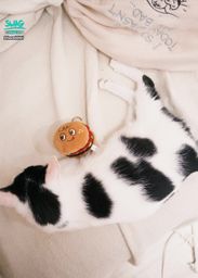 lovekikii : 福利限定一週 實戰長片2部請解鎖! 看到賺到🙈