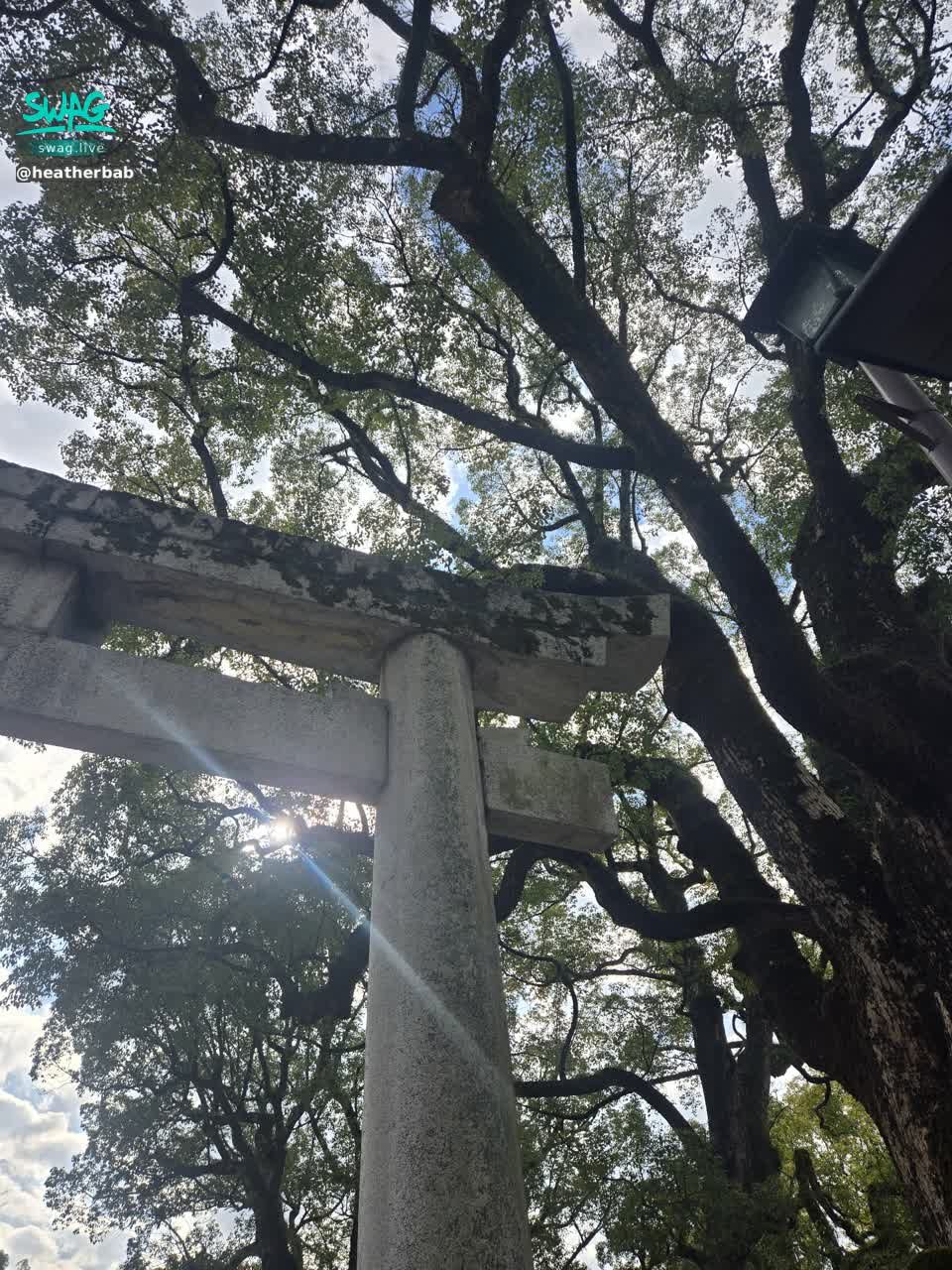 heatherbaby : 充電完，回來繼續工作❤️