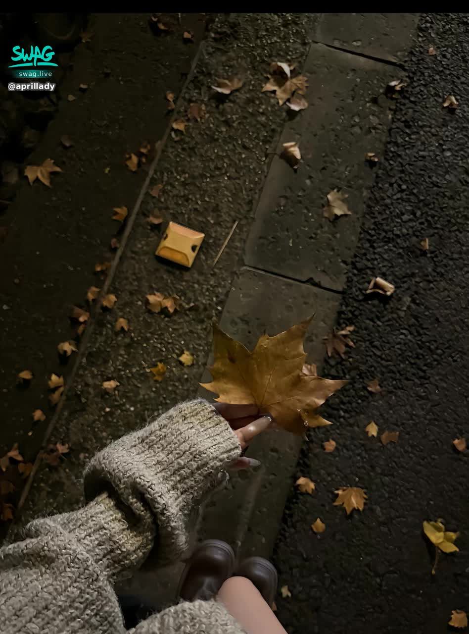 aprillady : 心能不能找到自己的港灣。