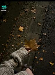 aprillady : 心能不能找到自己的港灣。