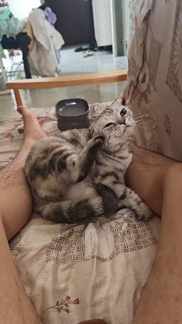 She Was Seriously Moaning And Groaning During The Live Stream