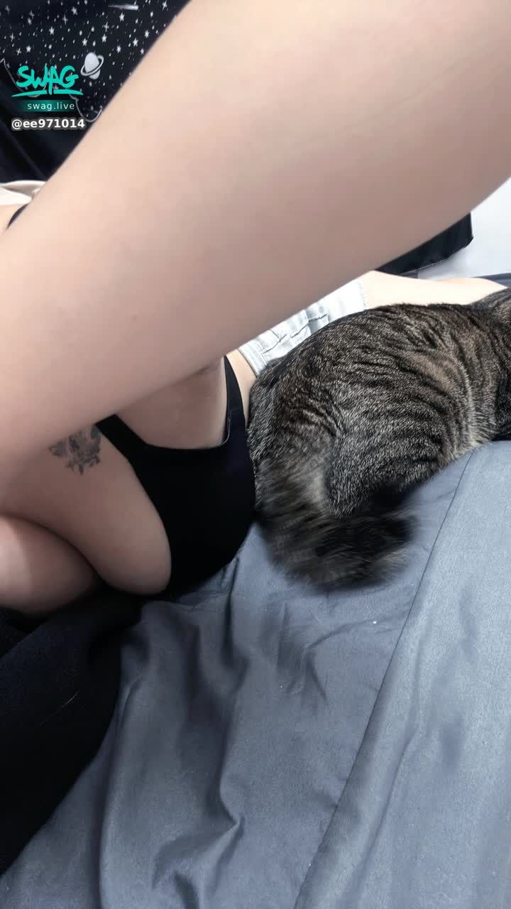 ee971014 : ㄎㄟㄓ修小貓🐱