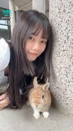 alice_lin : 帶小小孩出門溜達