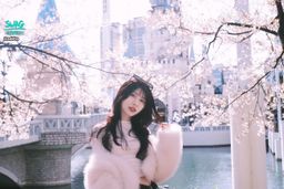 addta : 今年的櫻花🌸