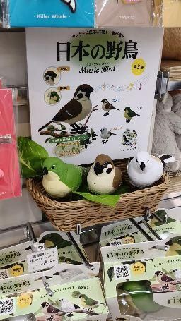 yummyrino : 日本の野鳥🐦