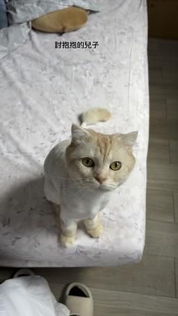 phoeeebe : 撒嬌的兒子