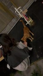 meijiu__ : 在家不小心睡著,怎麼這麼晚了!
好想睡覺😪頭還暈暈的,抱歉了大家😭
今晚能讓梅酒好好睡一覺嘛🥺🥺🥺Babe