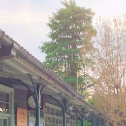 a**********e's avatar