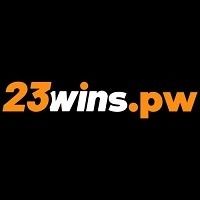 23winspw's avatar