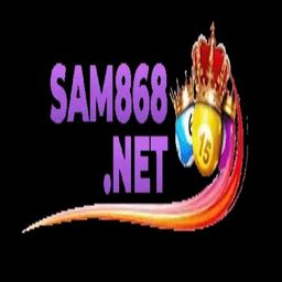 sam868net's avatar