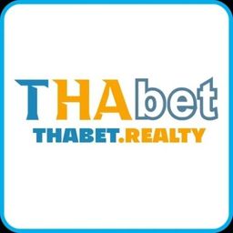 thabetrealty's avatar
