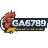 ga6789homes's avatar