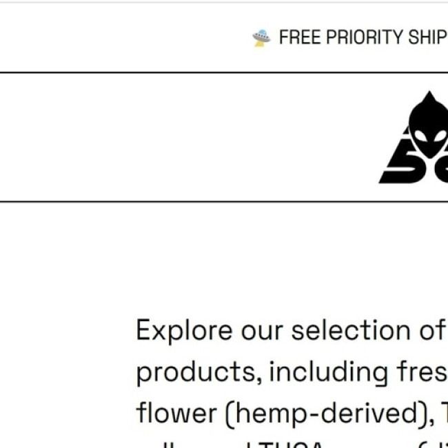 cathrinecassin's avatar