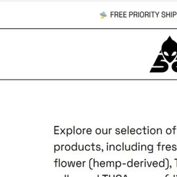 cathrinecassin's avatar