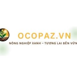 ocopazvn's avatar