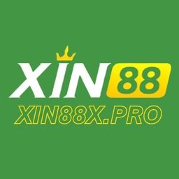 xin88xpro's avatar